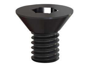 Rtr B. Screw S4 TX25 M5x5x5 - 1 pc